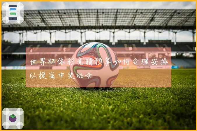 世界杯体彩竞猜预算如何合理安排以提高中奖机会