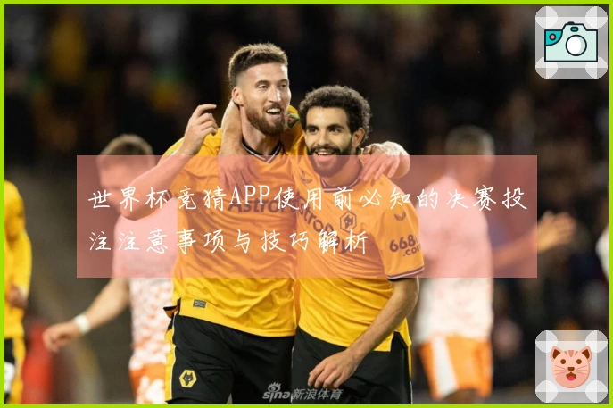 世界杯竞猜APP使用前必知的决赛投注注意事项与技巧解析