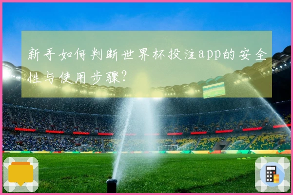 新手如何判断世界杯投注app的安全性与使用步骤？